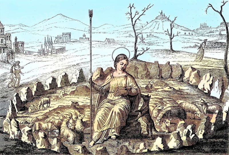 The good shepherdess