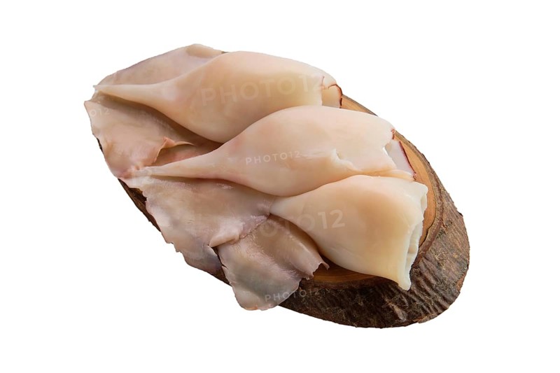 Frozen pilled squid isolated on white background