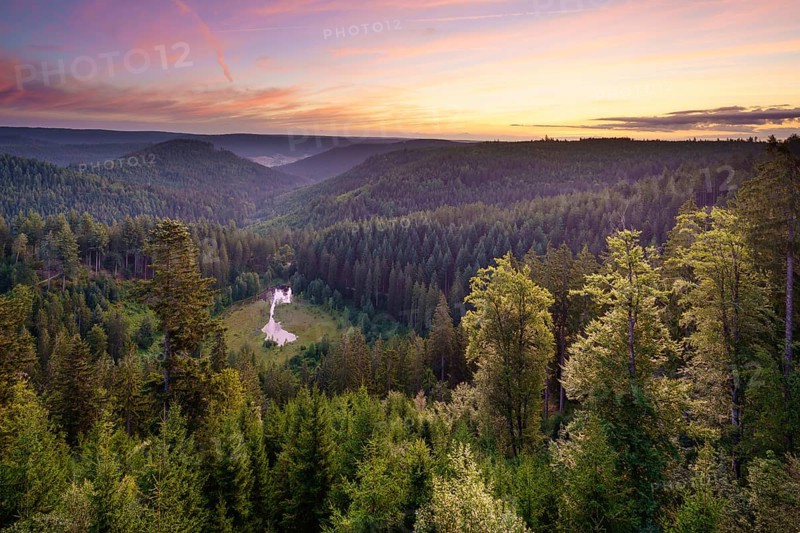 View from the Ellbachseeblick viewing platform