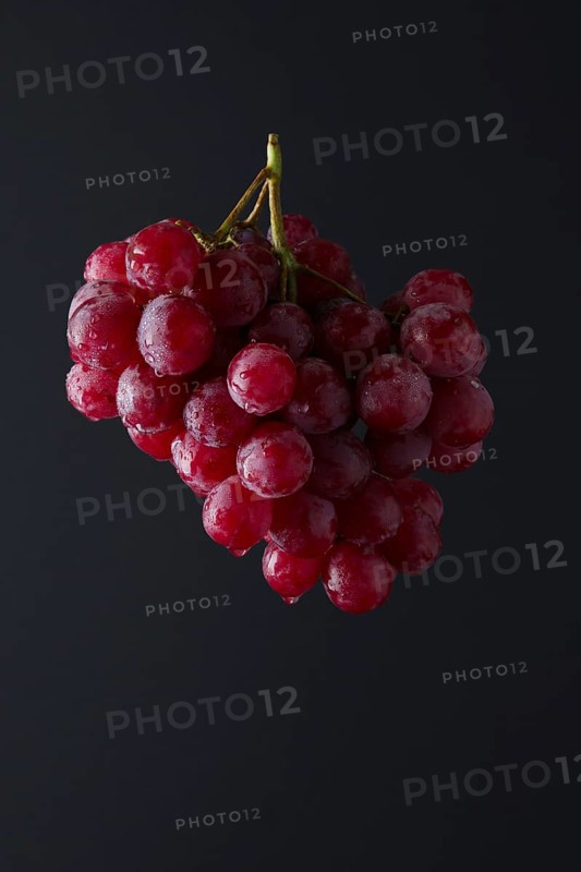 Red grape branch on black background