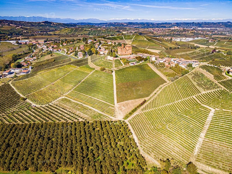 Aerials of the wineyards around Castle of Grinzane Cavour
