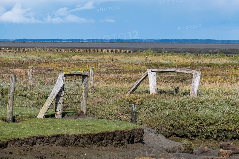 Landscape North Sea islandFoehr