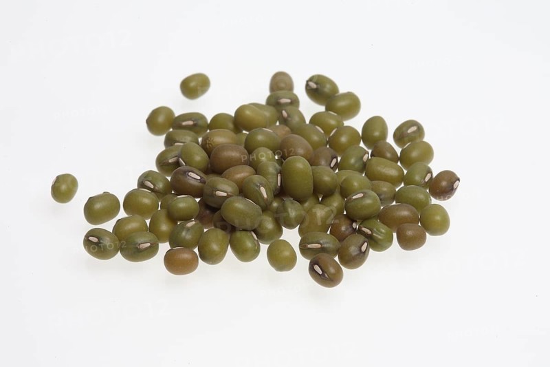 Mung bean