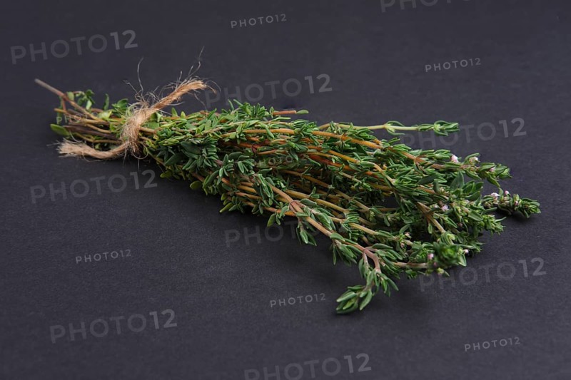 Bunch of thyme on black background