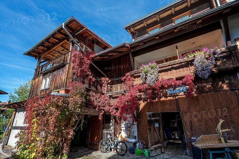 Wooden house with floral decoration and vegetation of widem vine