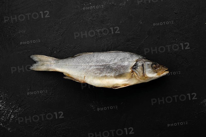 Top view of whole jerky sea bass