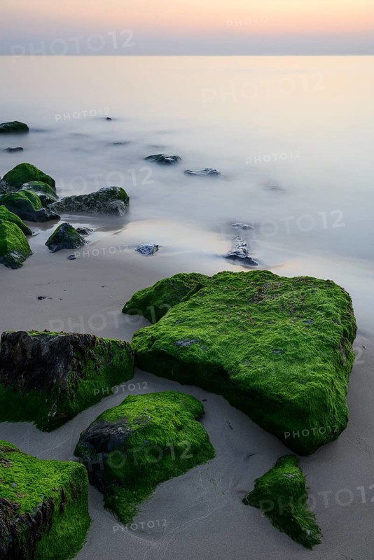 Stones covered with algae in the surf