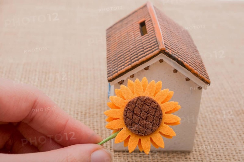 Hand holding fake flower by a model house on a brown color background