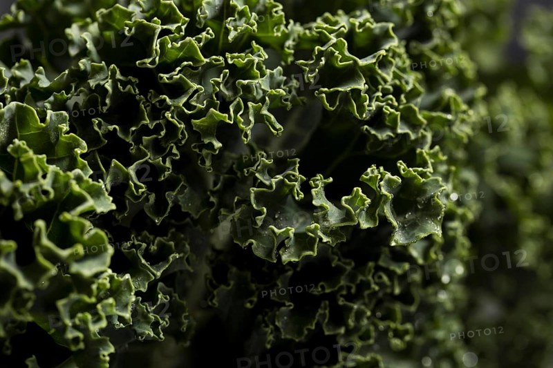 Close up shot kale
