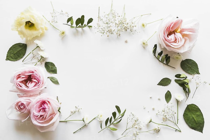 Top view flowers leaves. Resolution and high quality beautiful photo