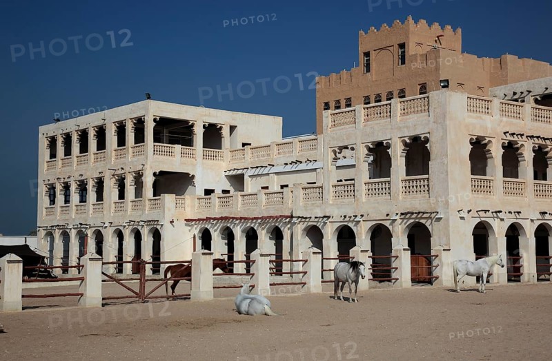 Arabian horse breeding stables in Al Jasra