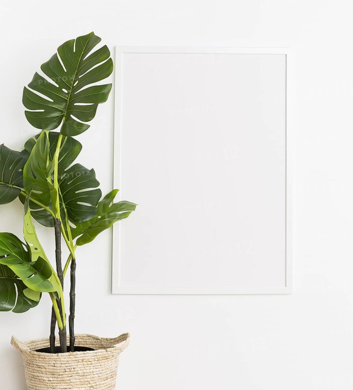 Decorative plant with empty frame
