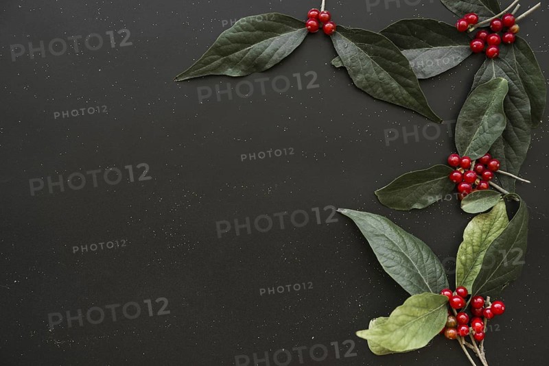 Green leaflets with berries