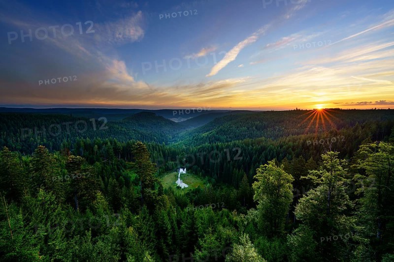 View from the Ellbachseeblick viewing platform