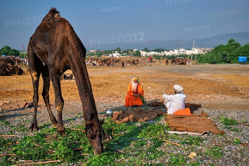 Pushkar