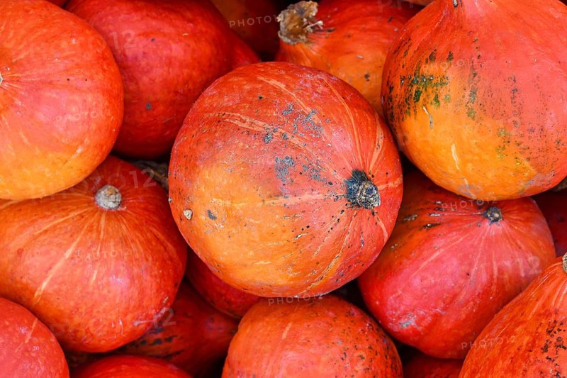 Bright red Kuri Hokkaido squashes in pile
