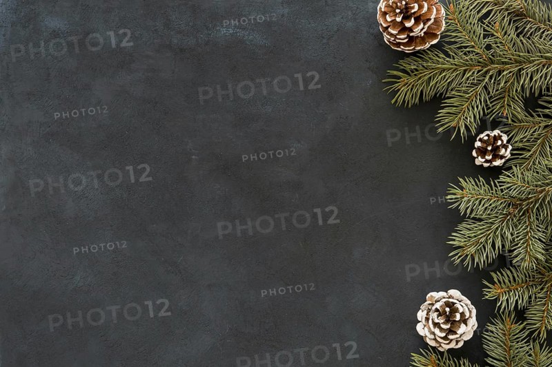 Chalkboard copy space background with leaves cones