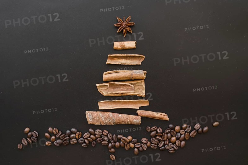 Christmas tree from bark