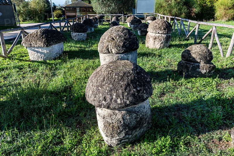 Little mounds in the Necropolis of Tarchuna