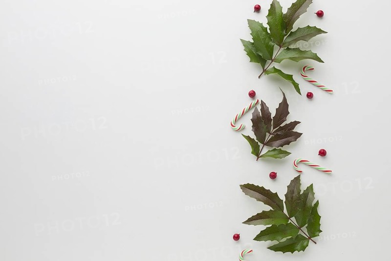 Flat lay mistletoe with candy cane