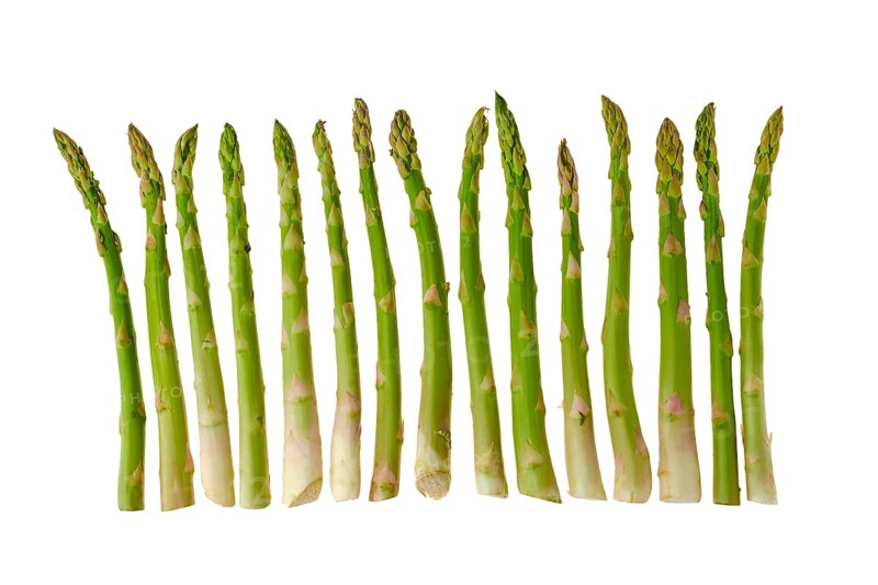 Fresh stems of asparagus in a line isolated on white background