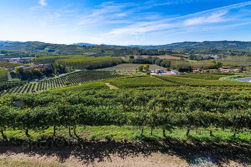 Wineyards around Castle of Grinzane Cavour