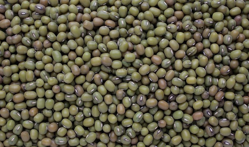 Mung bean