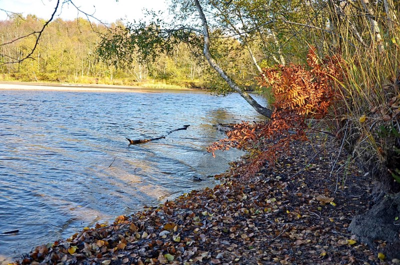 Nature reserve