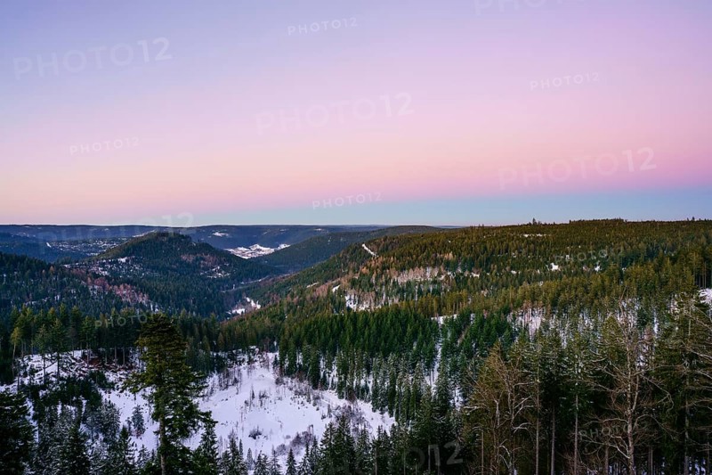 View from the Ellbachseeblick viewing platform