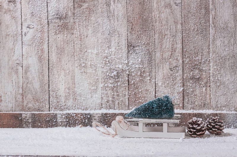 Wooden wall with small sleigh with christmas tree. Resolution and high quality beautiful photo
