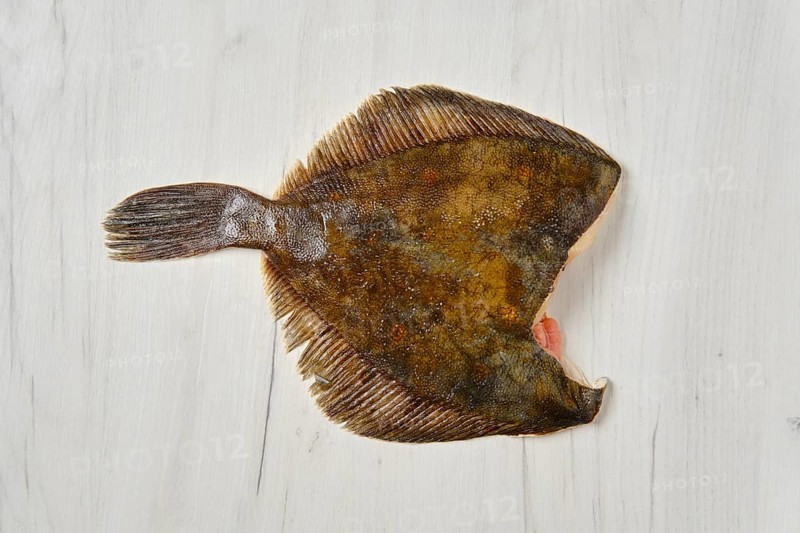 Frozen flounder without head on wooden background