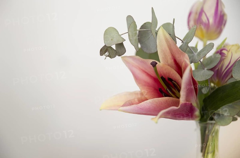 Close up vase with lily eucalyptus