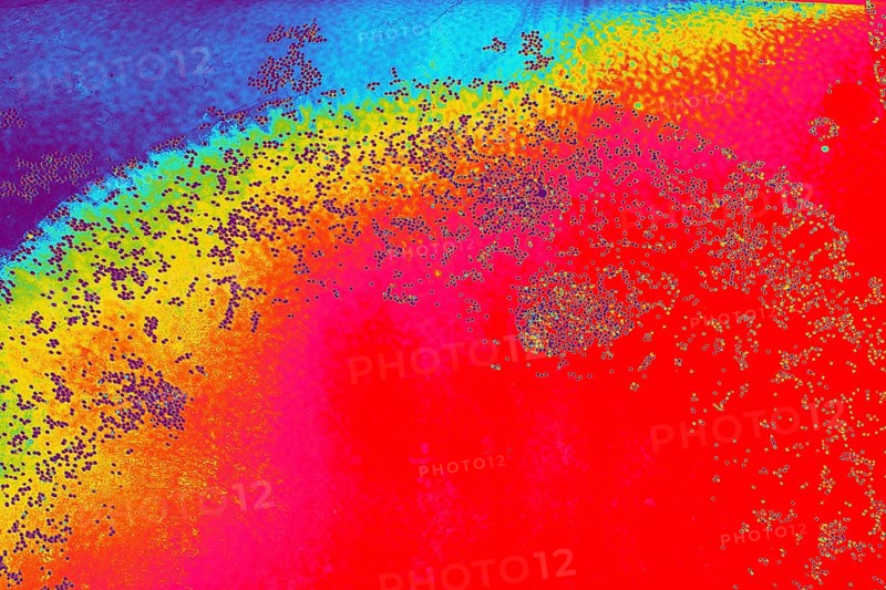 Oil bubbles inside water base form patterns