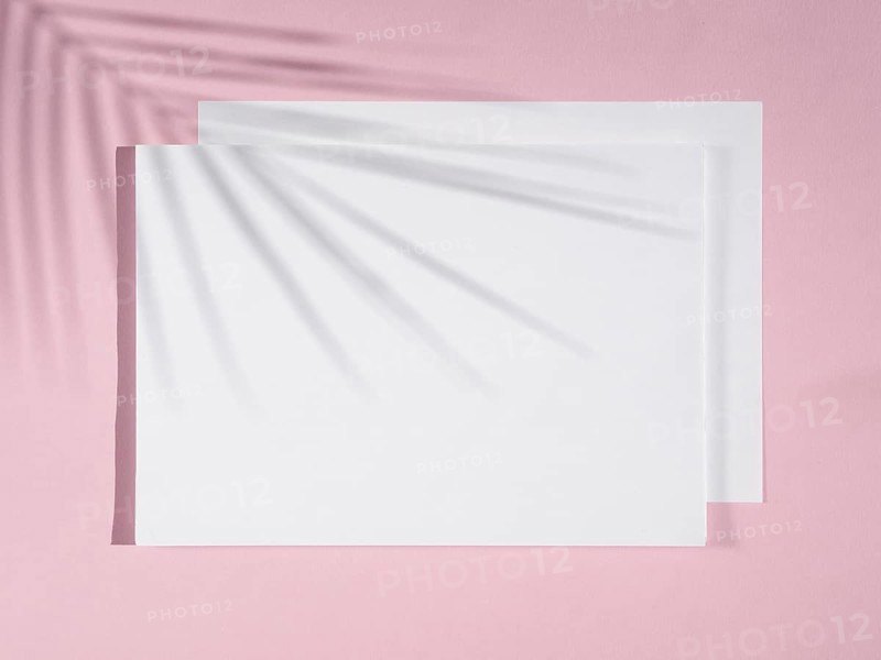 Rose background with white blankets ficus shadow