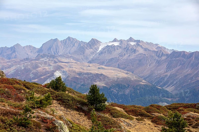 View of Valais Alps