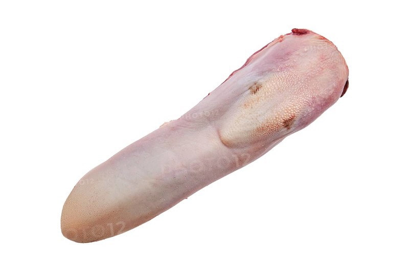 Raw fresh beef tongue isolated on white background
