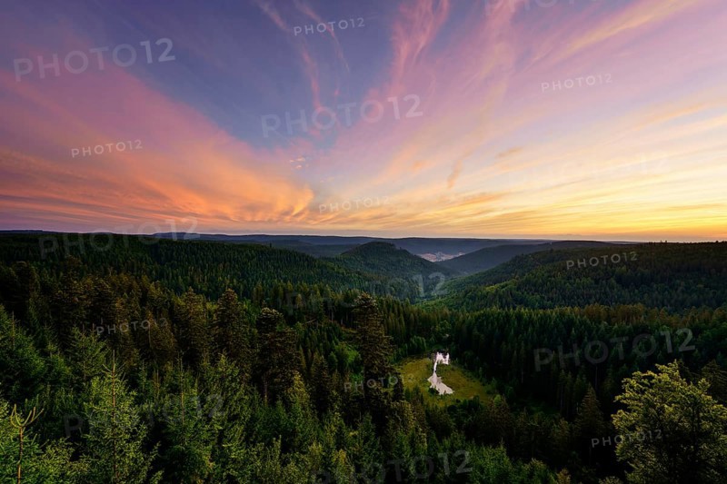 View from the Ellbachseeblick viewing platform