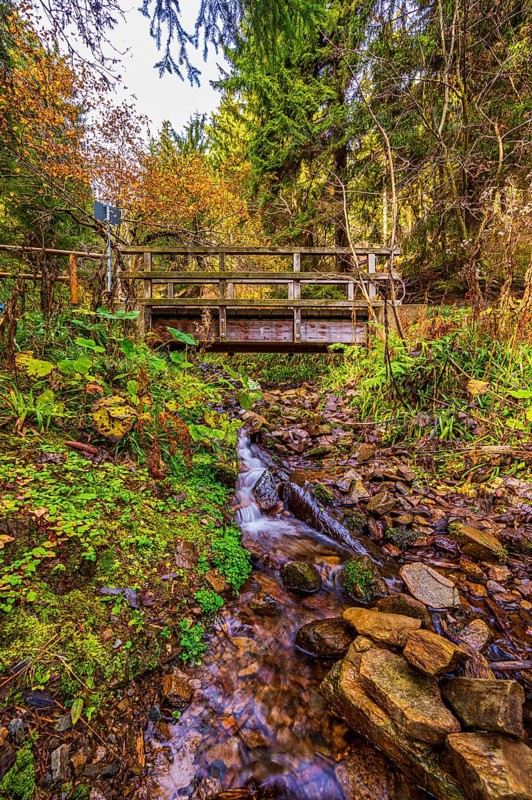 Long exposure of a small stream in the Schoenjungferngrund in the Ore Mountains below the Fichtelberg