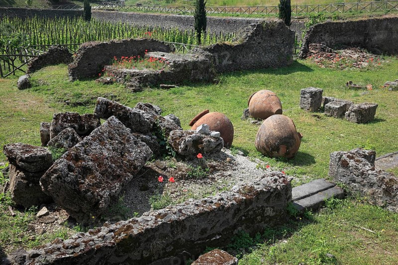 The amphora field at the Garden of Refugees