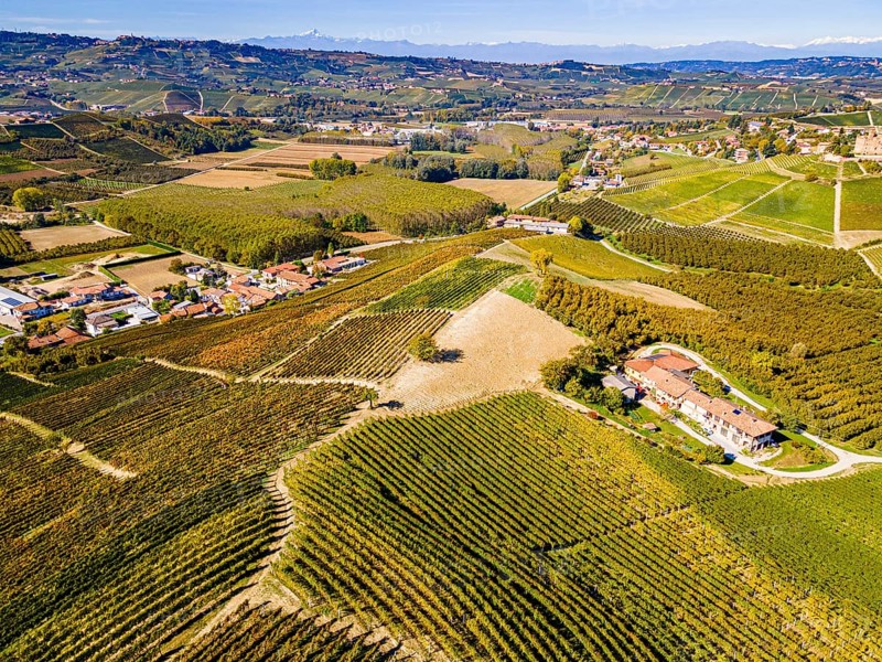 Aerials of the wineyards around Castle of Grinzane Cavour