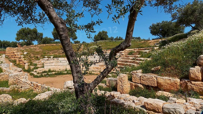 Aptera