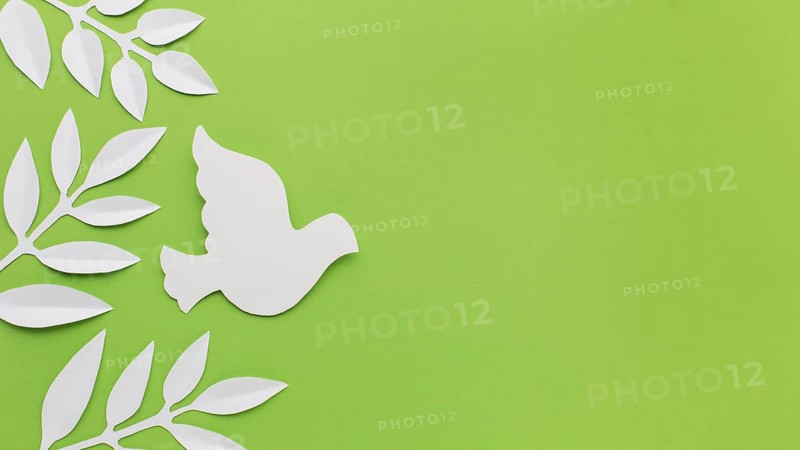 Top view paper dove leaves with copy space. Resolution and high quality beautiful photo