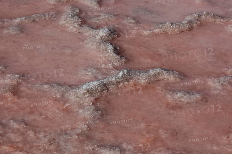 The Salinas de Janubio