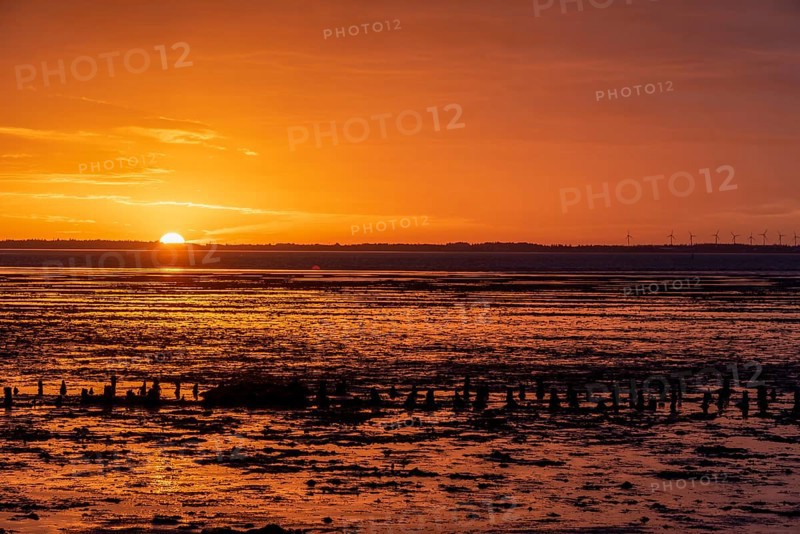 Sunrise in the Wadden Sea National Park