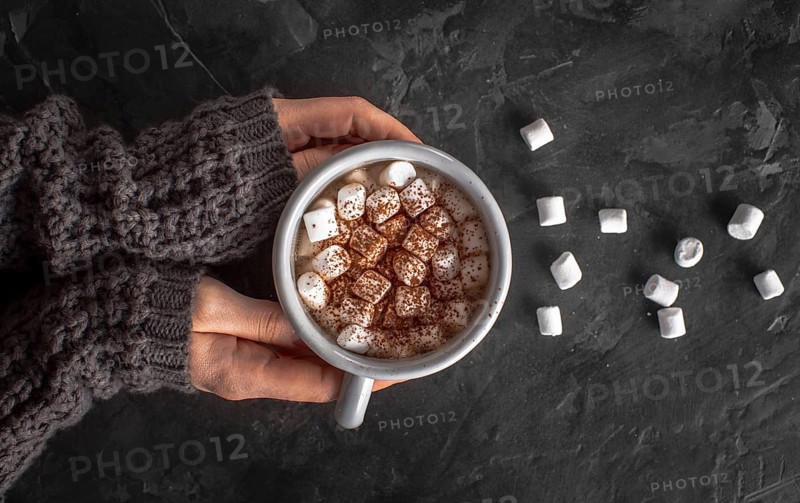 Hands holding hot chocolate with marshmallows cocoa powder