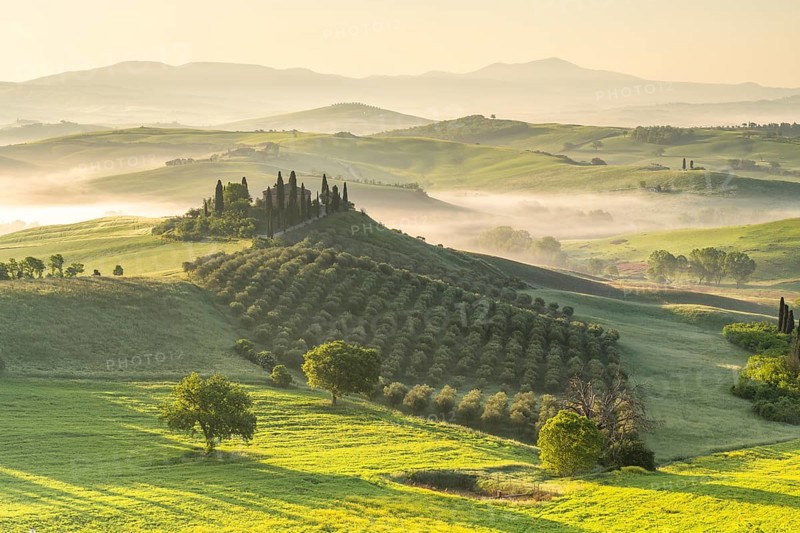 Podere Belvedere