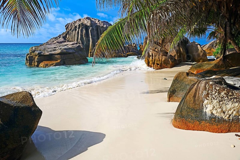 Dream beach Anse Patatas