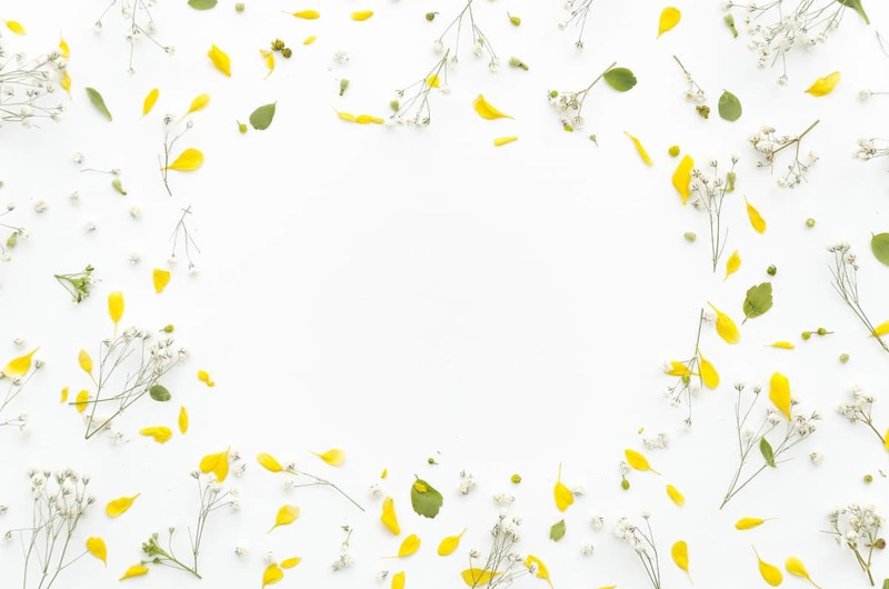 Decorative frame flowers