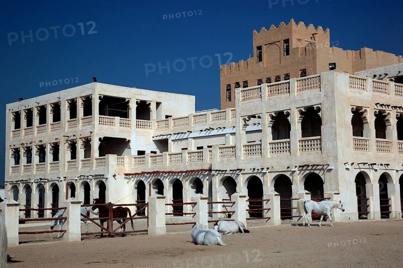 Arabian horse breeding stables in Al Jasra