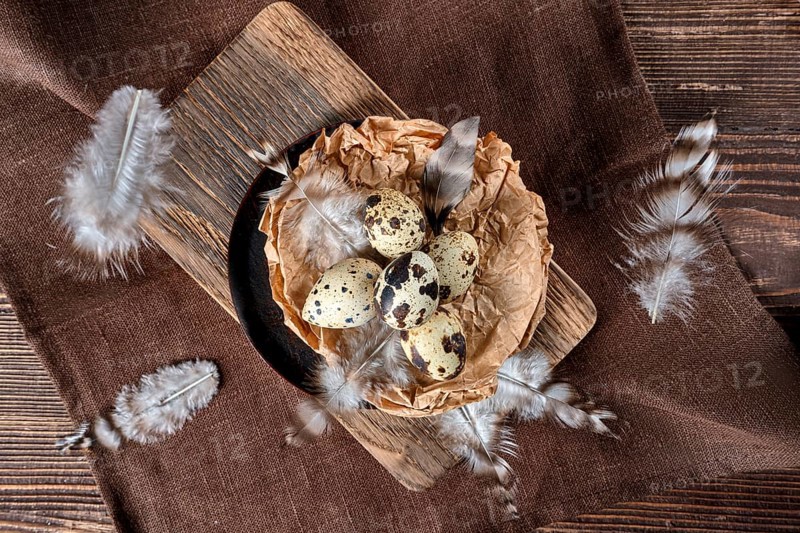 Overhead view of feathers falling on a bowl with quail eggs